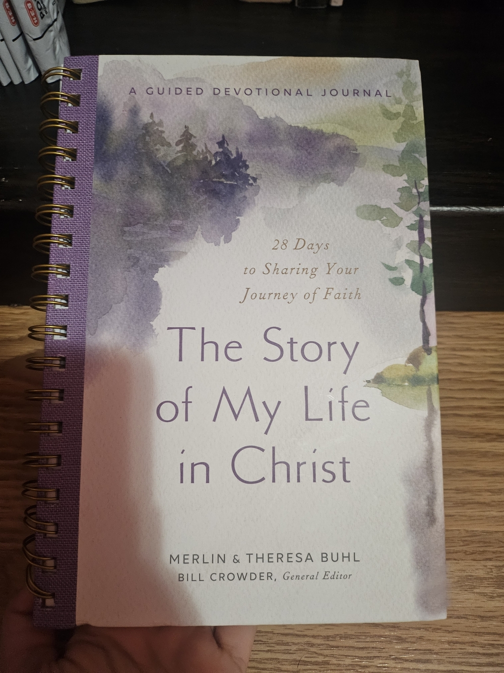 The Story of My Life in Christ Guided Devotional Journal - Purple/White